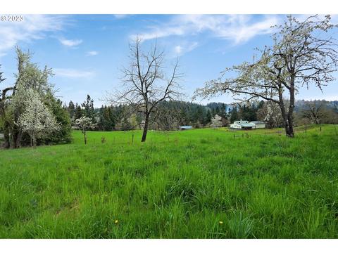 953 Crooked Finger Rd NE, Scotts Mills, OR 97375