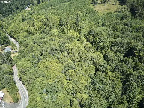 0 N Goble Creek Rd #1 & 2, Kelso, WA 98626