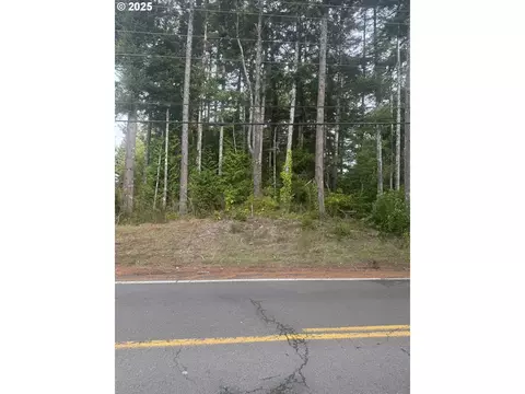 0 Beach Loop Rd, Bandon, OR 97411