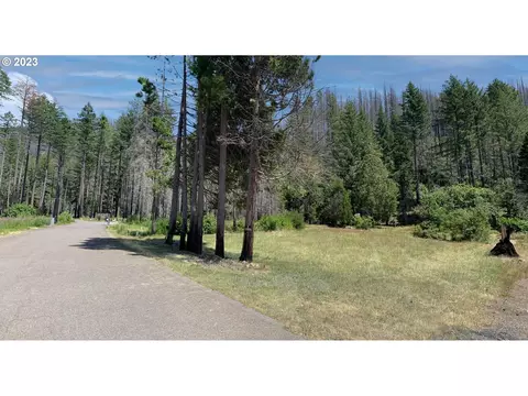 Rose St, Blue River, OR 97413
