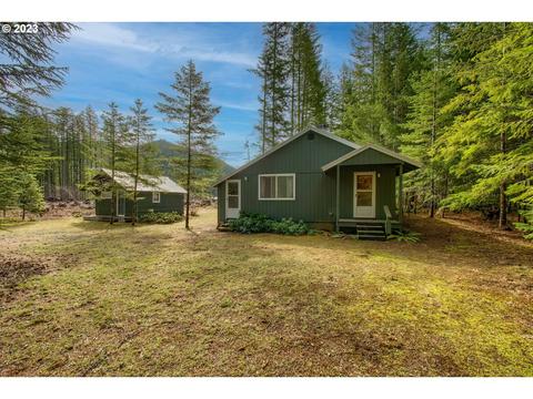 271 Hemlock Rd, Carson, WA 98610 photo 1