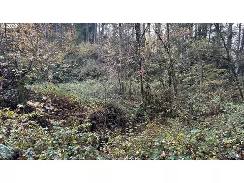 86134 Lorane Hwy, Eugene, OR 97405 photo 5