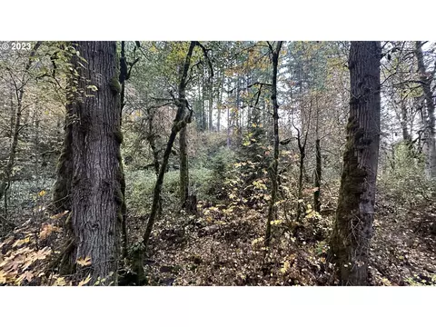 86134 Lorane Hwy, Eugene, OR 97405 photo 4