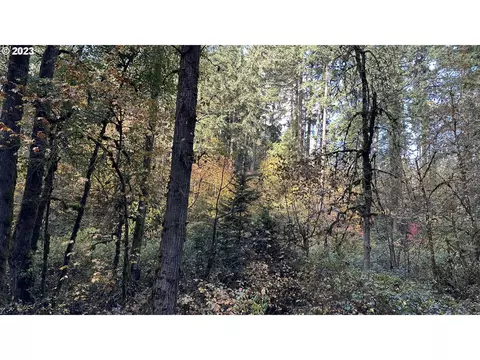 86134 Lorane Hwy, Eugene, OR 97405 photo 2