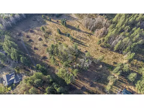 49425 Mckenzie Hwy, Vida, OR 97488