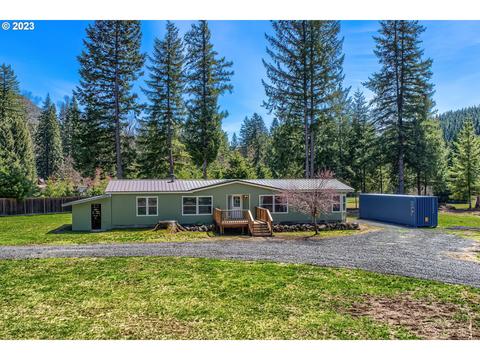 261 Cannavina Rd, Carson, WA 98610