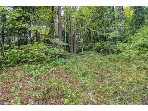 Leatherwood, Eugene, OR 97405