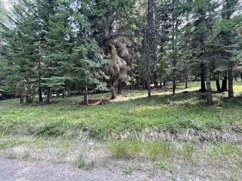 22 Tamarack Rd, Lostine, OR 97857