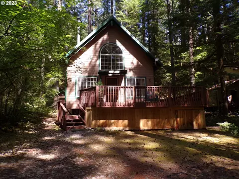 Cabin 136 Northwoods, Cougar, WA 98616