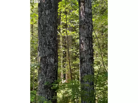 Forest Road 4610, Estacada, OR 97023