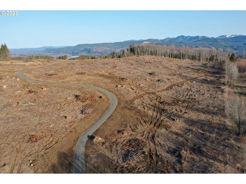 001 Hagen Rd, Mossyrock, WA 98564