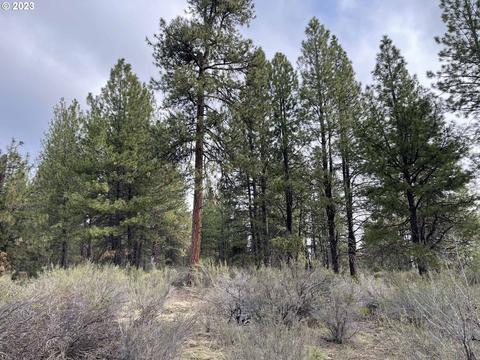 S Waterview Way, Chiloquin, OR 97624