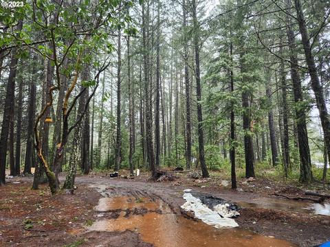 595 Waldo Dr, O'brien, OR 97534