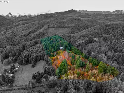 4011 Lucas Rd, Falls City, OR 97344