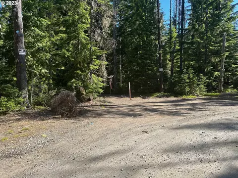 0 E Chimney Rock Rd, Government Camp, OR 97028