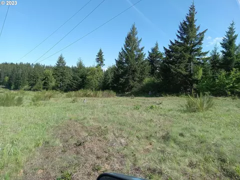 Lacock-kelchner Rd, Underwood, WA 98651