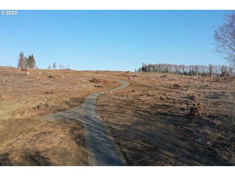 002 Hagen Rd, Mossyrock, WA 98564