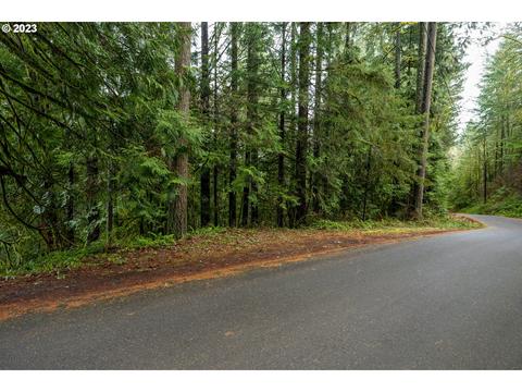 NW Elk Mountain Rd, Banks, OR 97106