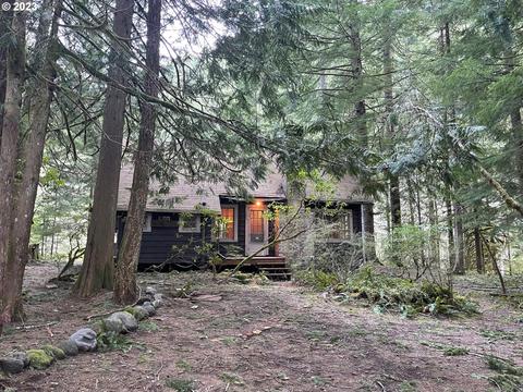 74698 E Road 24, Rhododendron, OR 97049