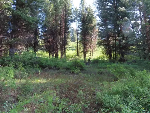 383 Pontiac Ridge Rd #A & B, Oroville, WA 98844