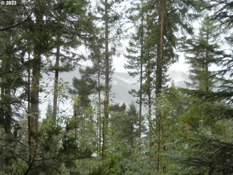 Jumpoff Joe Creek Rd, Grants Pass, OR 97526