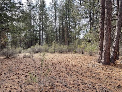 Incline Dr, Chiloquin, OR 97624