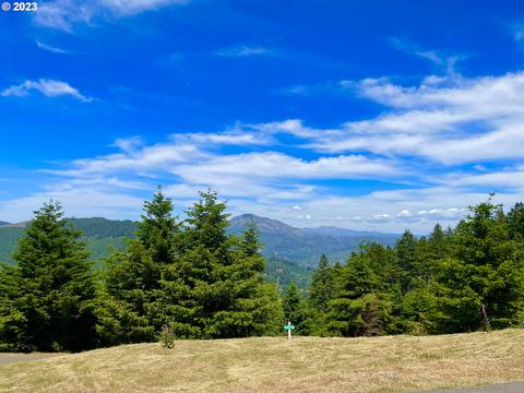 Crown Terrace Rd, Brookings, OR 97415