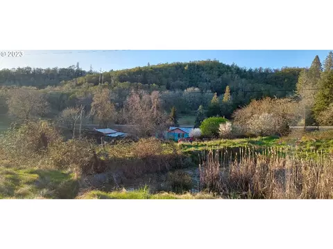 1805 Shoestring Rd, Riddle, OR 97469
