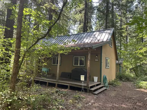 Cabin 112 Northwoods, Cougar, WA 98616