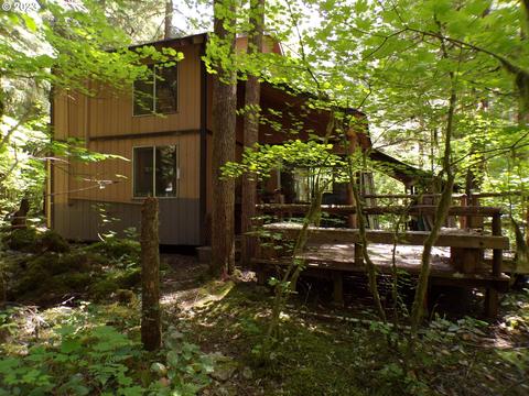 Cabin 178 Northwoods, Cougar, WA 98616