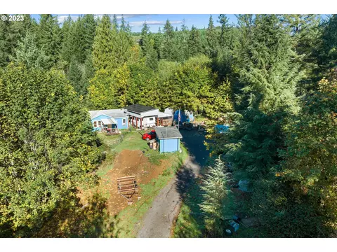 387 Saddle Rd, Amboy, WA 98601