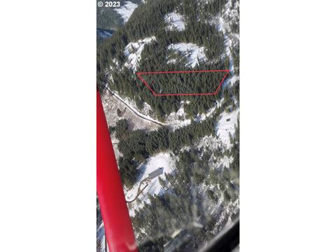 Snag Mountain Rd, Washougal, WA 98671