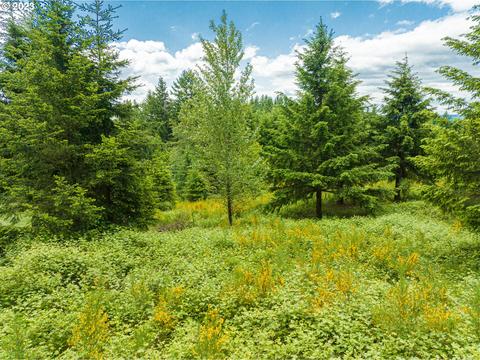 125 Vineyard View Dr, Woodland, WA 98674
