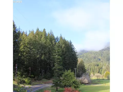Cedar Valley Road, Gold Beach, OR 97444