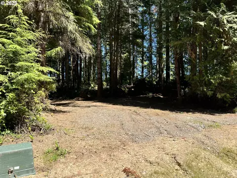 Little Woahink Dr, Florence, OR 97439