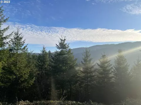 Kalama River Rd, Kalama, WA 98625