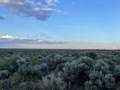 Millican Rd, Christmas Valley, OR 97641