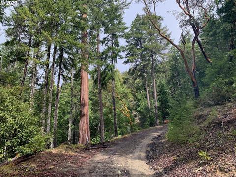 Quines Creek Rd, Azalea, OR 97410