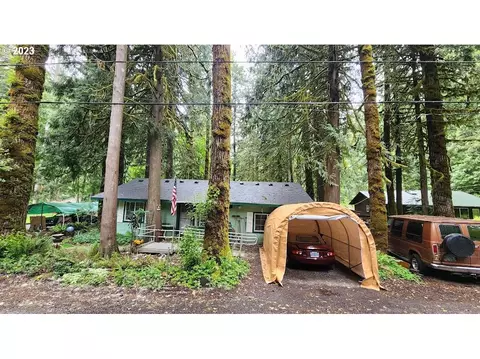 70997 E Mcfarland Rd, Rhododendron, OR 97049 photo 1