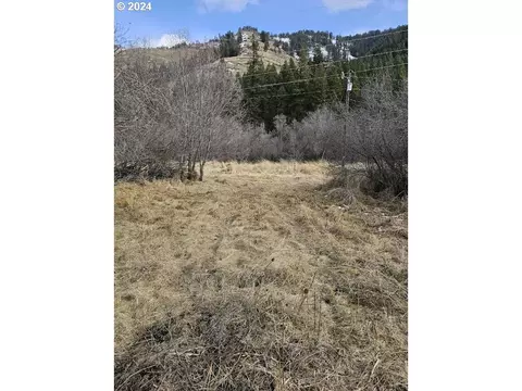 Upper Imnaha River Rd, Imnaha, OR 97842