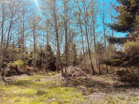 20517 Crane Pl, Ocean Park, WA 98640