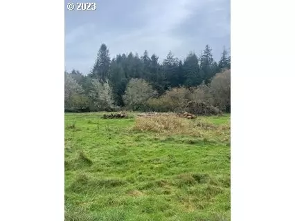44092 Anderson Ln, Astoria, OR 97103