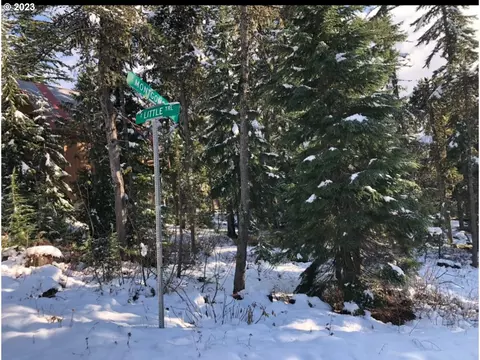 e montgomery st, Government Camp, OR 97028