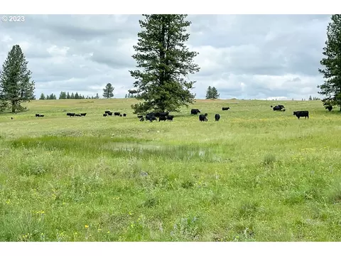 1 Starvation Rd, Enterprise, OR 97828