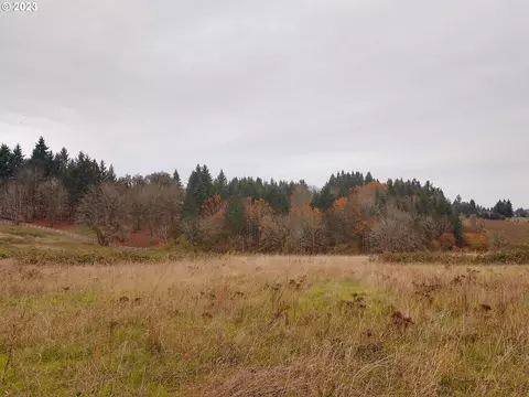 0 SE Walnut Hill Rd, Amity, OR 97101