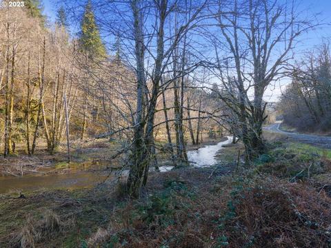 Highway 22, Hebo, OR 97122