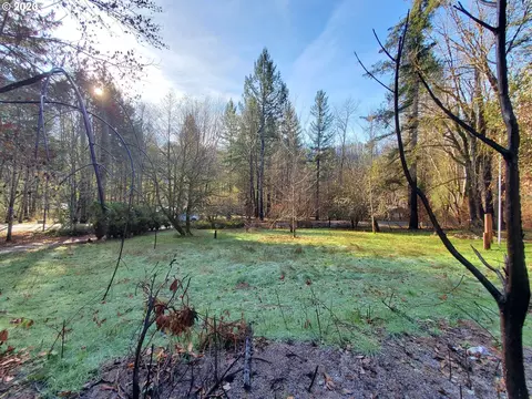 49391 Eagle Rock Pl, Vida, OR 97488
