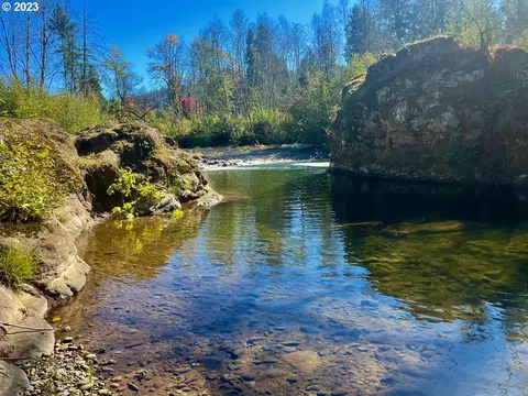 45620 Mckenzie Hwy, Vida, OR 97488