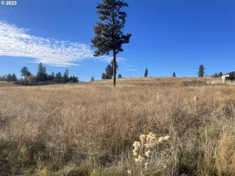deerview ct, Chiloquin, OR 97624