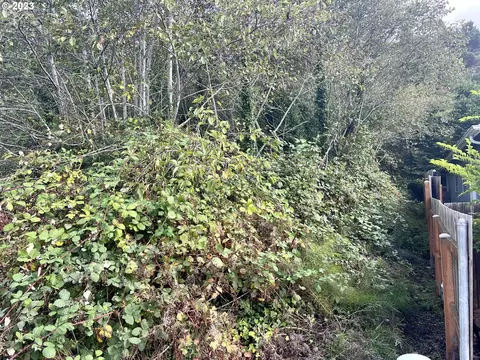 Tanglewood Ave, Gleneden Beach, OR 97388